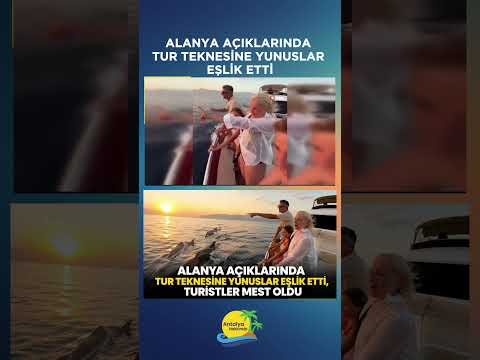 Alanya açıklarında tur teknesine yunuslar eşlik etti, turistler mest oldu
