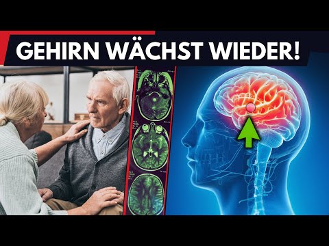 DEMENZ-LÜGE ENTHÜLLT: Wie 7 simple Lebensmittel Ihr Gehirn neu wachsen lassen!