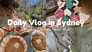 シドニー暮らしVlog｜米粉シフォンとプチ秘境の森歩き｜小さなクリスマス気分🎄