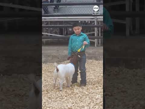 Texas boy shares emotional moment with his prize-winning goat
