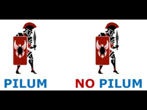 Total War: Rome II 1vs1: Eagle Cohort (Pilum vs NO Pilum)