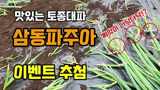 토종파 삼동파씨앗주아 이벤트 발표합니다.