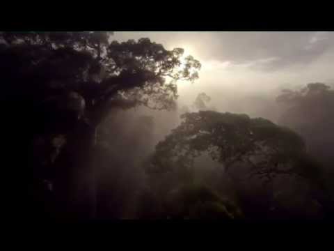 CHILLOUT - AMBIENT - DOWNTEMPO "A BETTER WORLD" (HD) by FASAR