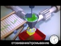 Процесс продукции Bonduelle - Замороженные овощи 
