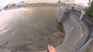 Рыбалка на обводном канале в москве