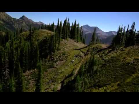 New world Disorder 10 -  Brandon Semenuk