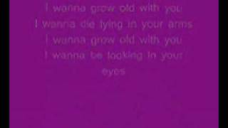 Dj Cammy - I Wanna Grow Old With You Lyrics