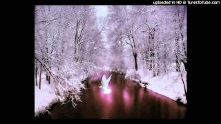 Coil~The Last Amethyst Deceiver~