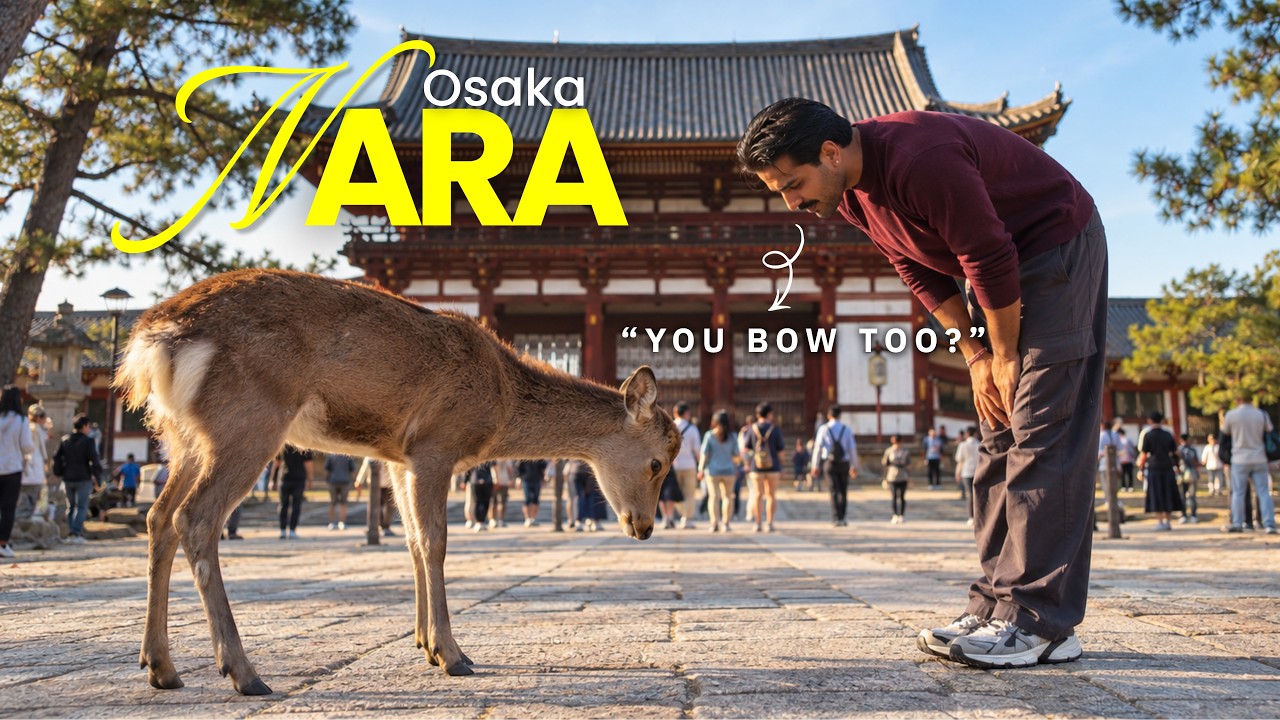 Japan’s Deer City 🇯🇵 | Nara