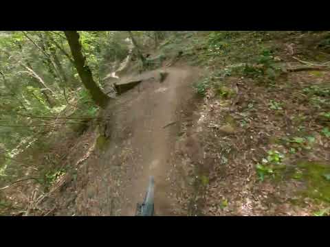 Viperone - Piombino MTB Trail Area