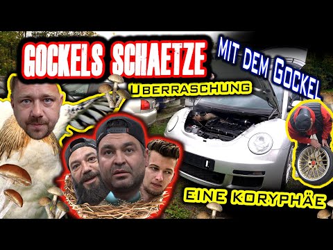 LEVELLA | Überraschung für den Turbo Gockel! + 1000 PS Beetle, Renner 3 - Gockel's Projekte