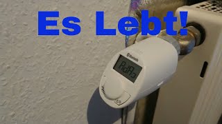 Eqiva Bluetooth "Smart" Heizkörperthermostat Einbau, Einrichtung & erster Eindruck