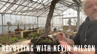 Repotting with Kevin Wilson