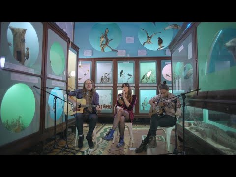 Corazones Musicales ft. Mandrake Wolf & Chapital - Los abrazos son instantes decisivos - Ep. IV