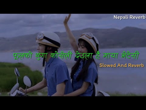 Phoola ko thunga koseli deula hai maya bhetesi[Jali Rumal Mai] || Slowed And Reverb