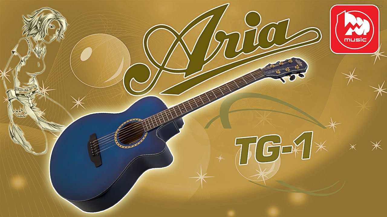 Aria TG1 CS акустическая гитара купить в Москве в интернетмагазине Kombik