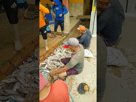 joselândia Maranhão pescaria