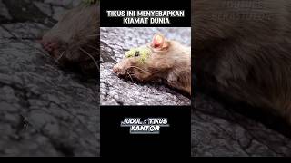 Download lagu Awal kiamat terjadi mp3