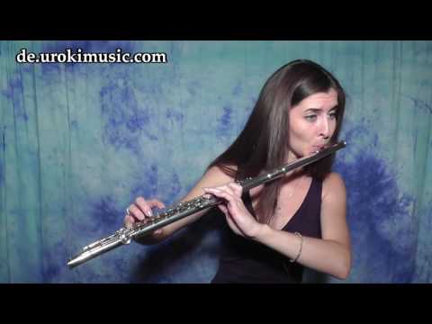 Flöte Lernen Taylor Swift - Shake It Off Cover Flötenunterricht Noten Schule Lied Lehrer Klasse