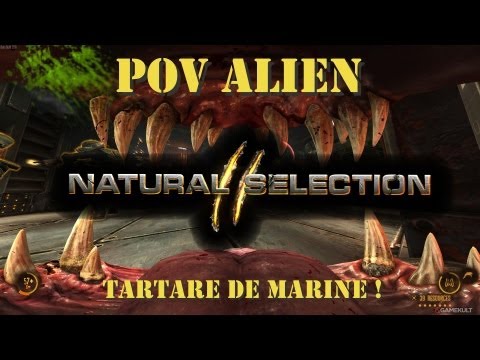 download lagu mp3 mp4 La Selection Hors Serie, download mp3 La Selection Hors Serie free download mp3, download mp3 La Selection Hors Serie