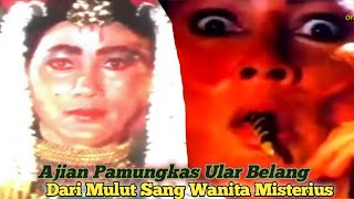 Download lagu The Ultimate Spell of the Striped Snake / THE SPELL OF THE QUEEN OF THE SOUTH SEA mp3
