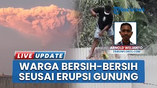 Aksi Warga di Sikka Bersihkan Atap Rumah dari Abu Vulkanik seusai Erupsi Gunung Lewotobi Laki-laki