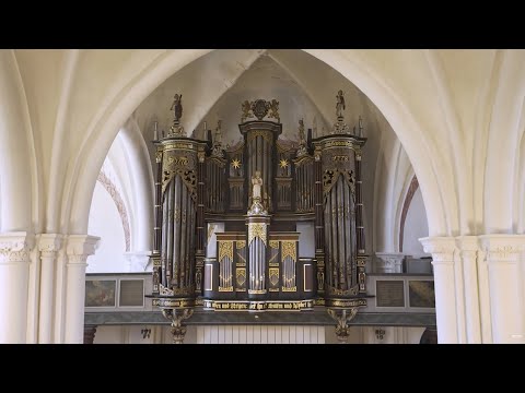 Restaurierung der Orgel in Berne 
