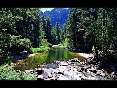 Documentary God of Wonders  Scientists prove Almighty God's existence through Science