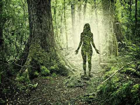 Henri Koliver - Hayê