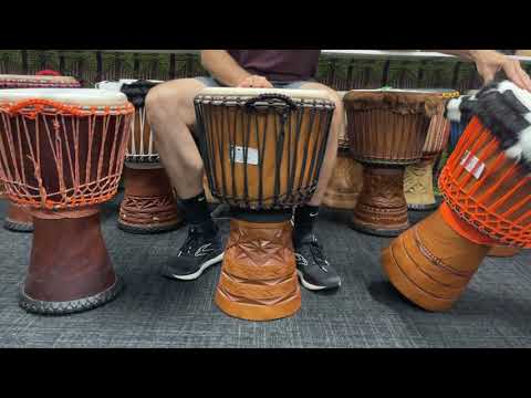 Master Series Djembes  XRay, Clockwork Orange & Black Beauty