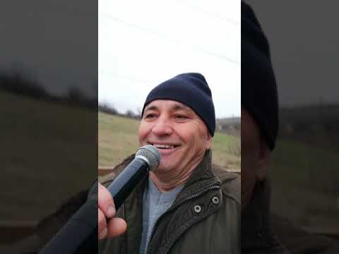 Gigi Ciubuc- Brebeni 2020