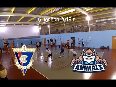 Ижорец-М – Animals (3:0), 16.11.2019, КВЛ, Медиум-Юг
