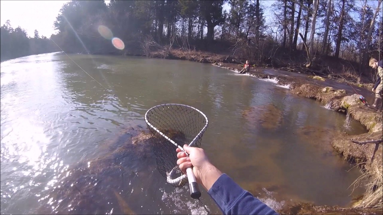 Trout Fishing - Blue River, Oklahoma - 2.17.17
