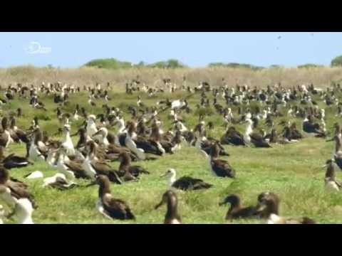Paradies auf Erden - Naturwunder Hawaii - Teil 1