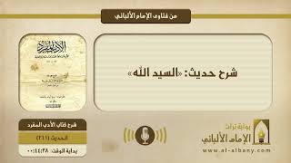 شرح حديث: «السيد الله»