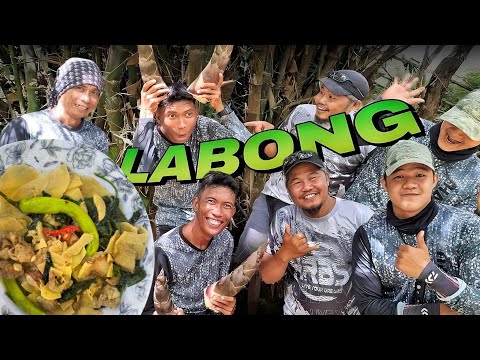 Labong Forage and Cook