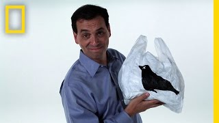 Crowd Control: Rule Your World: Selfishness