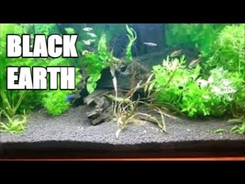 Black Earth - Planted Aquarium Substrate