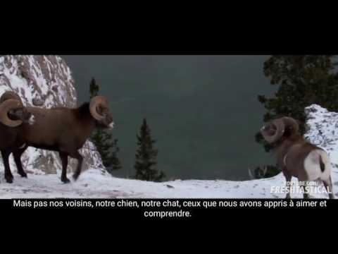 Le Mensonge Dans Lequel Nous Vivons (French Subtitles)
