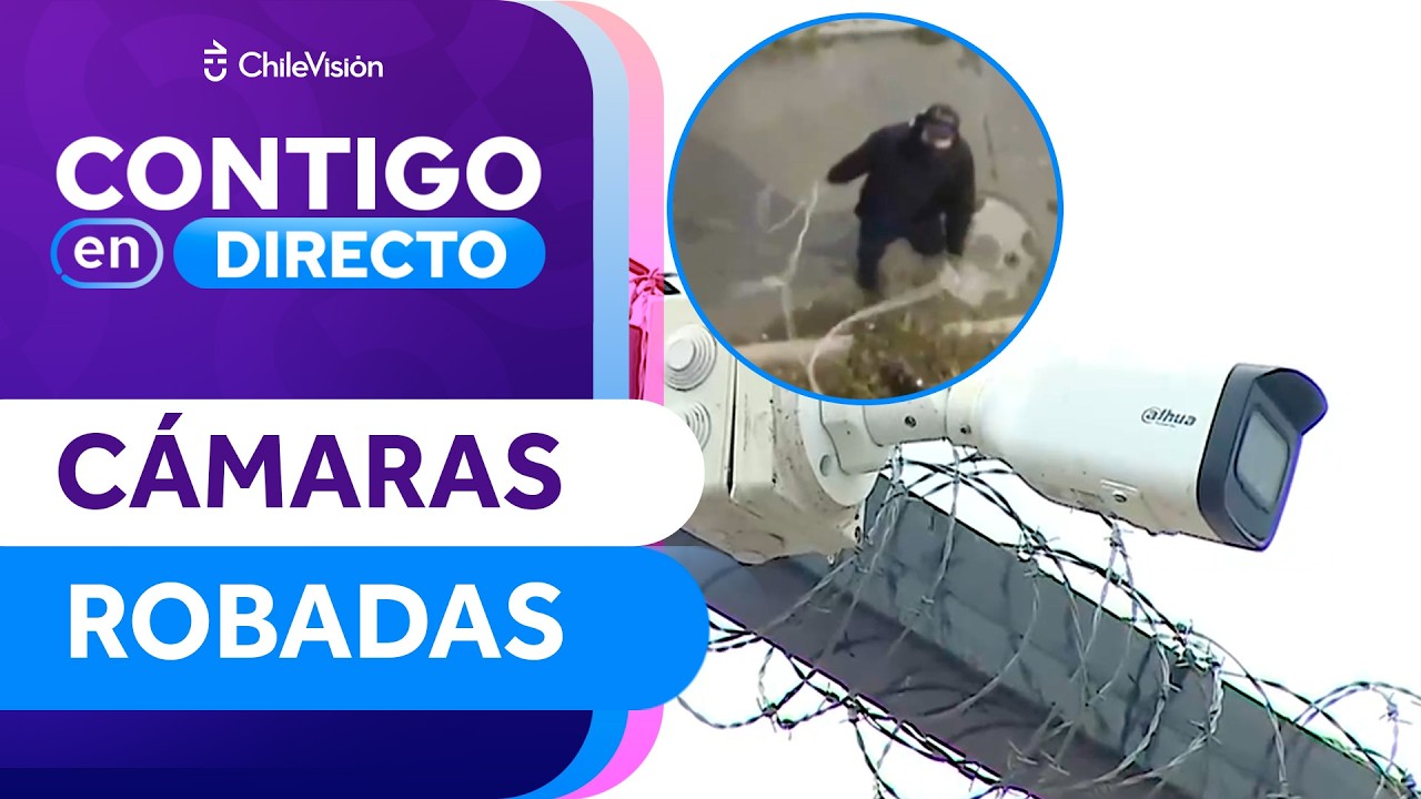 Delincuentes robaron cámaras que vigilaban el barrio en Isla de Maipo - Contigo en Directo