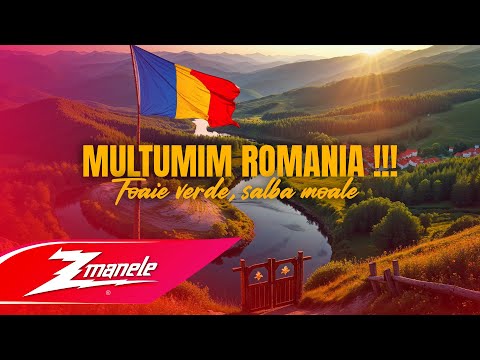 COCO ✘ Zmanele - Foaie verde, salbă moale ( Pamflet )