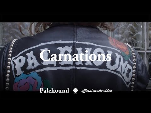 Video thumbnail for Carnations