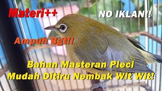 Download lagu Masteran Pleci Mudah Ditiru Nembak Wit WIt NO IKLAN!! Ampuh Bgt!! Materi   mp3