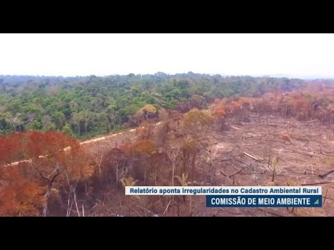 Comissão de Meio Ambiente aprova relatório de avaliação da política de regularização fundiária