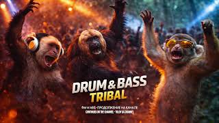 Download lagu TRIBAL DnB Vibes 🌿 | Ancient Rhythms x Drum & Bass Energy (World Bass Ritual) mp3