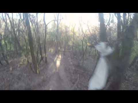 Pannonhalma Heavyking EXC 200 - 2019 / 6