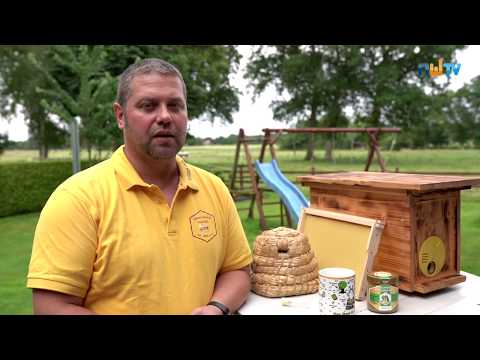 Imker im Interview: Probleme und Erfolge in der Bienenhaltung