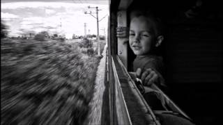 Redwings - The Guillemots