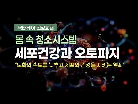 세포 건강과 오토파지: 몸속 청소 시스템을 깨우는 법