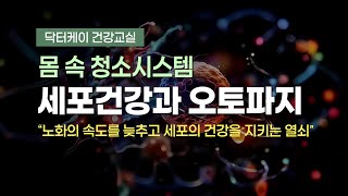 세포 건강과 오토파지: 몸속 청소 시스템을 깨우는 법